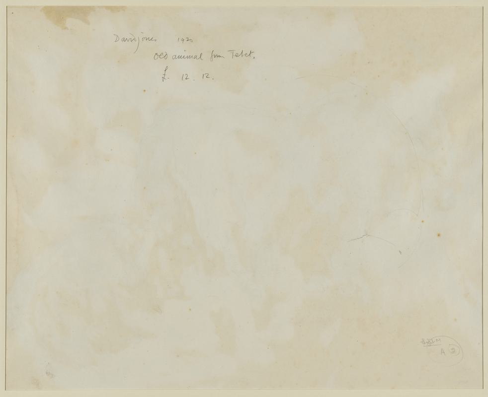 The Old Animal from Tibet 1930