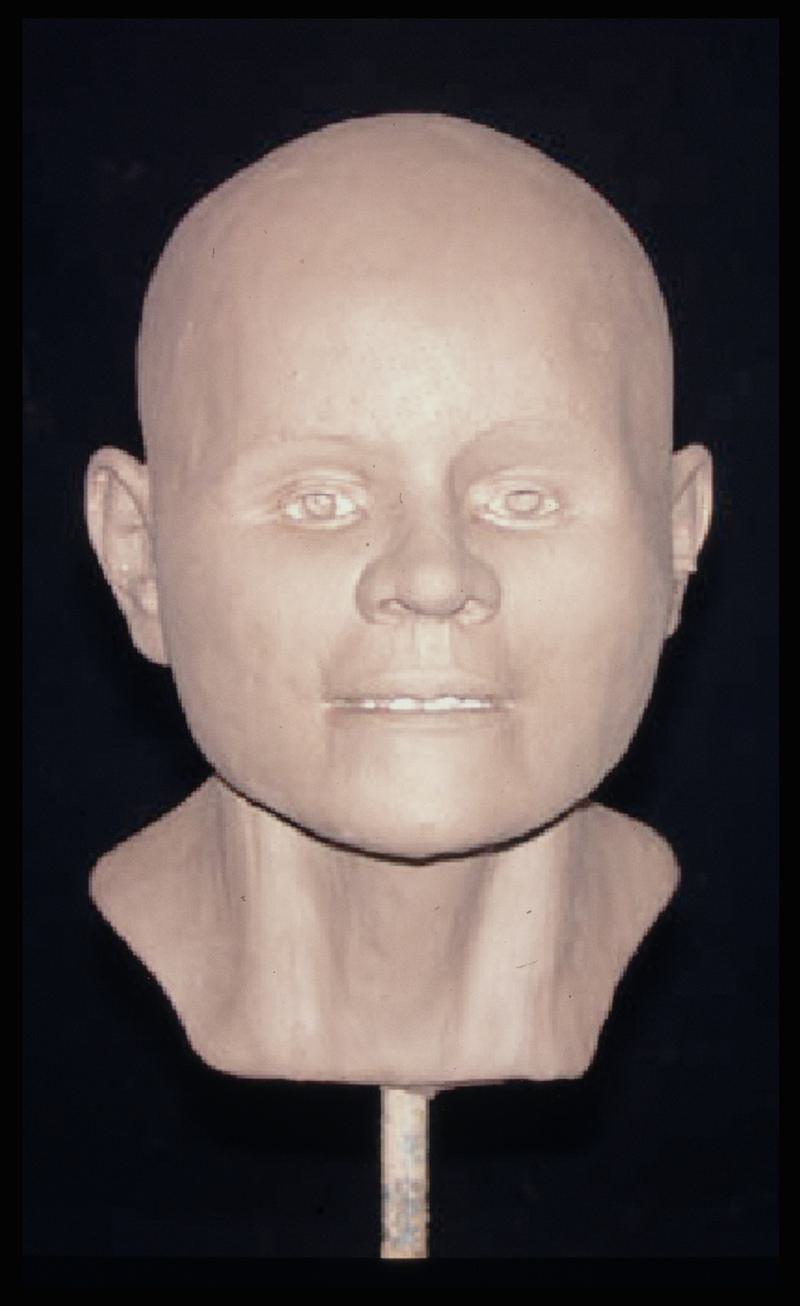 Early Medieval human head (reconstruction)