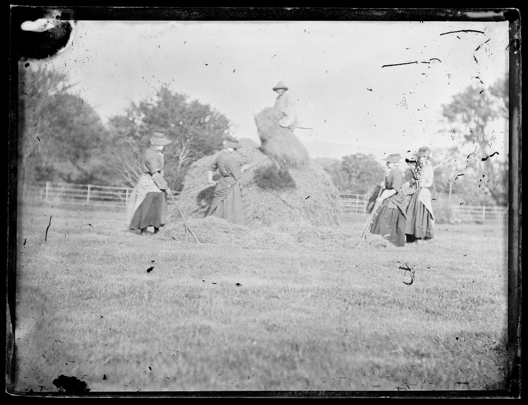 The Haymakers (glass negative)