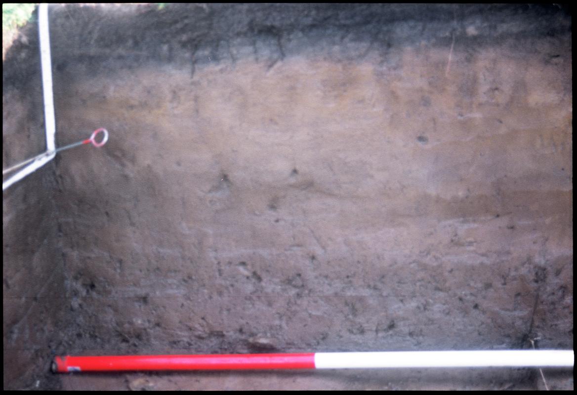 Burry Holms, Gower. 2001 Trench 4. Section at the south of the trench. South-east corner. Sequence shot 12.
