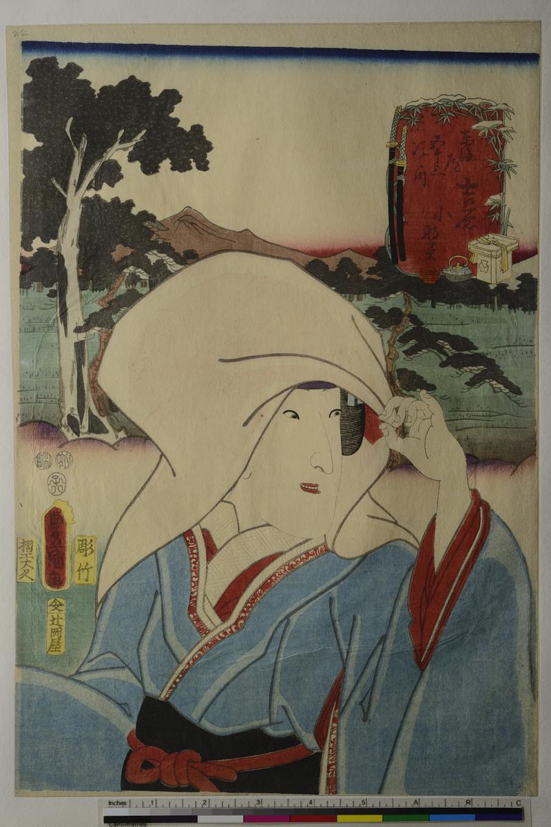 The Fifty Three Stations