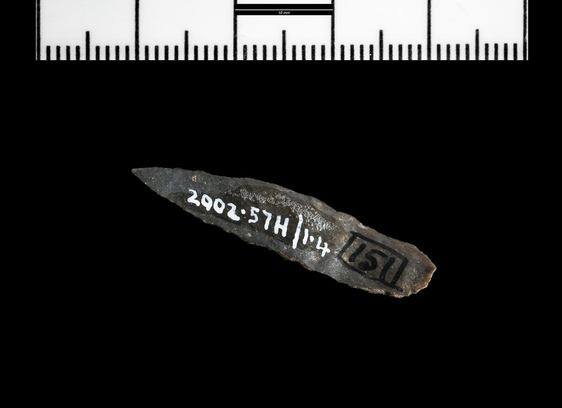 Mesolithic chert microlith