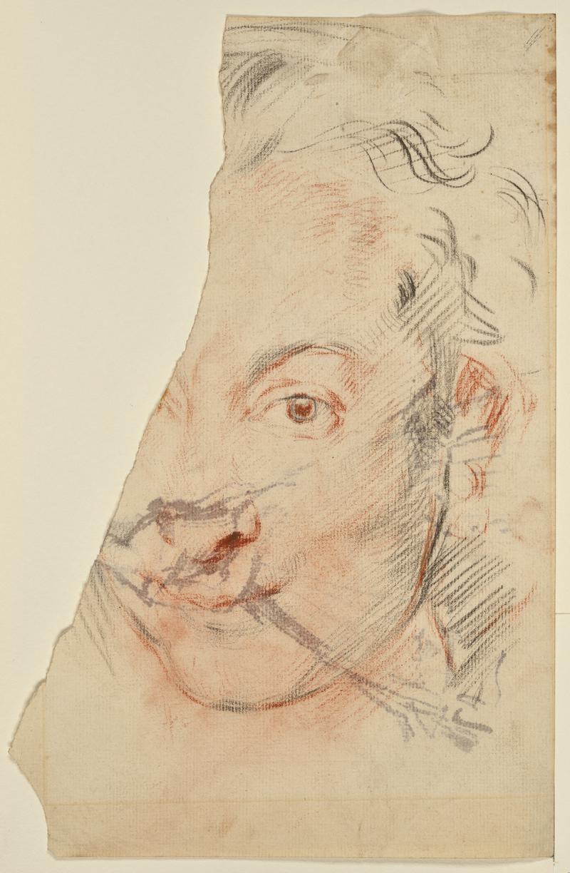 A Woman's Head, after Rubens