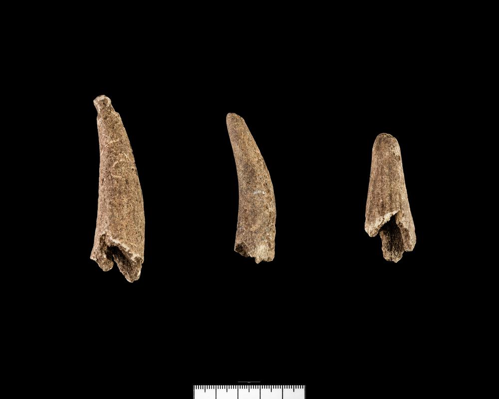 Iron Age / Roman antler object