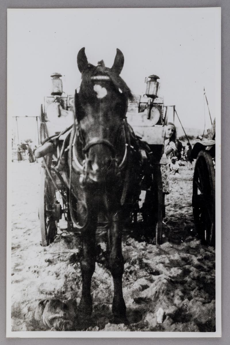 Collection of photographs belonging to Luigi Giovanni Rabaiotti