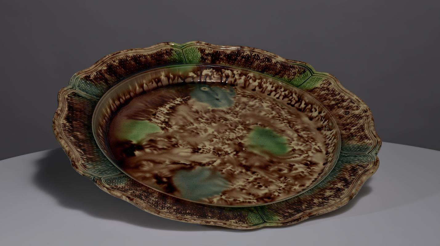 Dish
