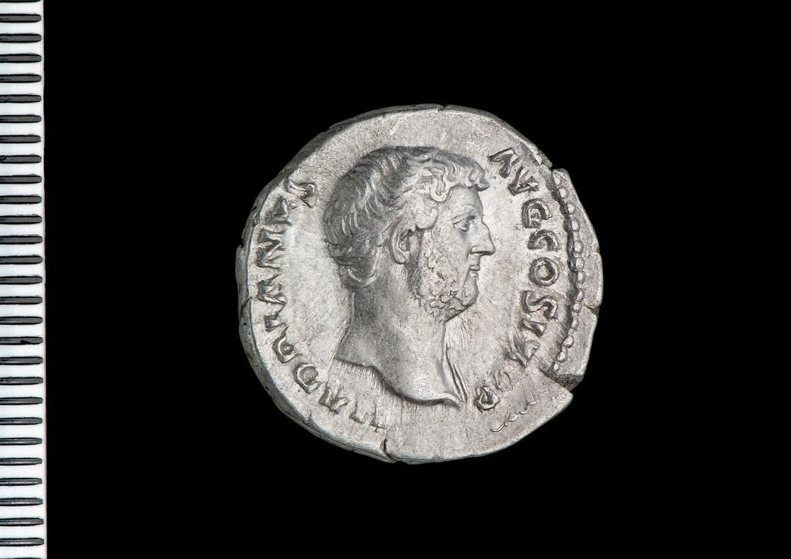 silver denarius (obv.)