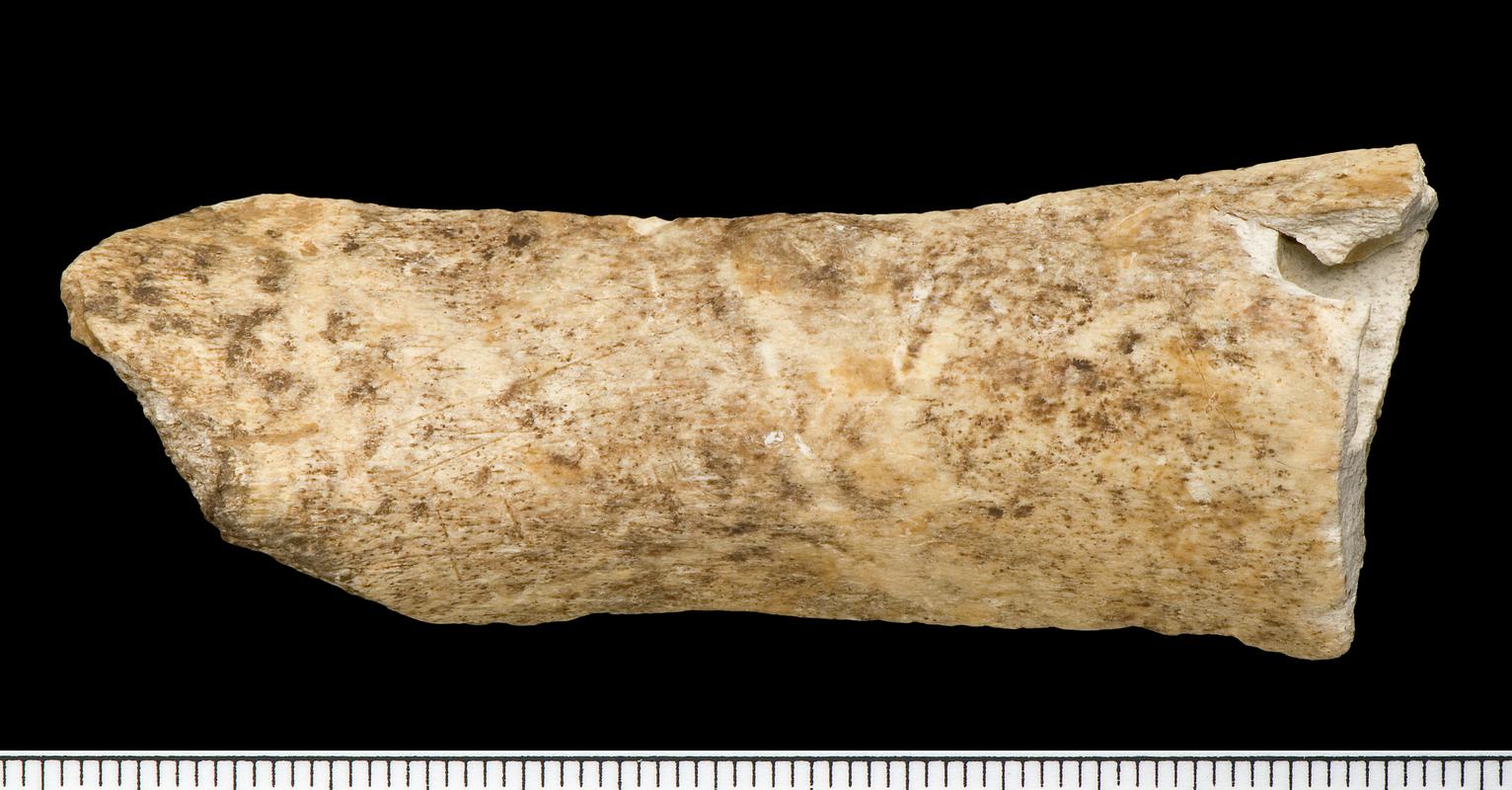 Late Upper Palaeolithic cutmarked bone