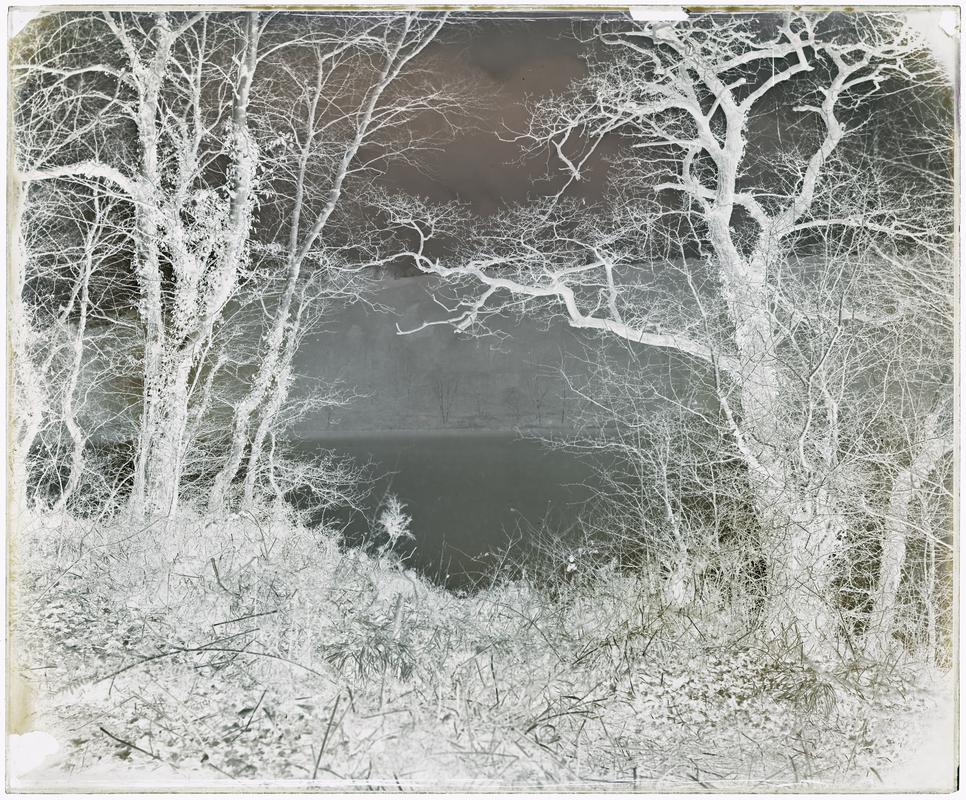 Lake scene, glass negative