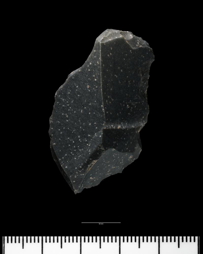 Early Upper Palaeolithic nosed end-scraper from Paviland Cave. Dorsal surface