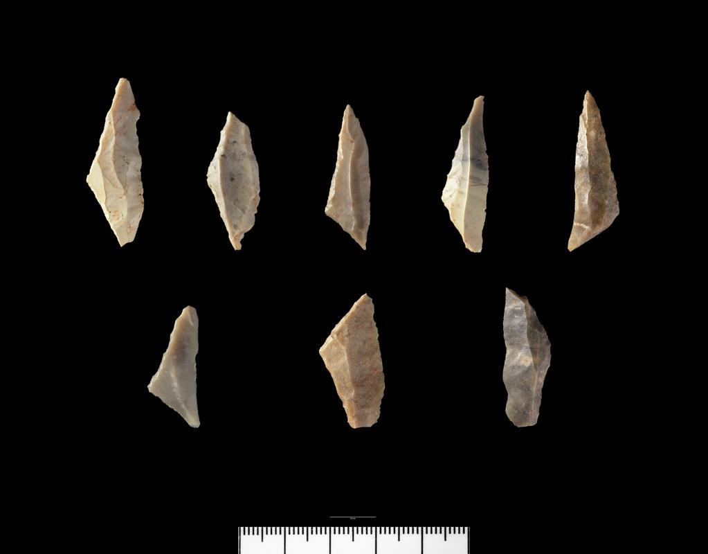 Early Mesolithic flint microlith