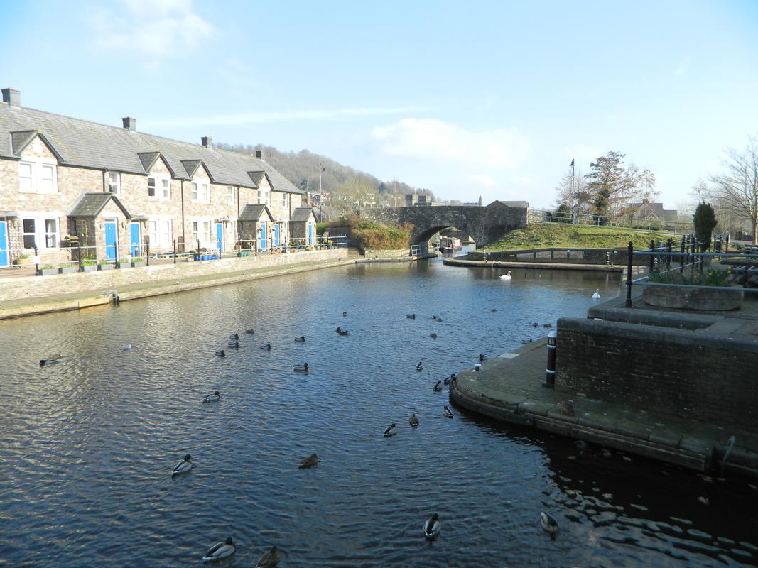 Brecon & Abergavenny Canal: terminal basin at Brecon viewed from west.