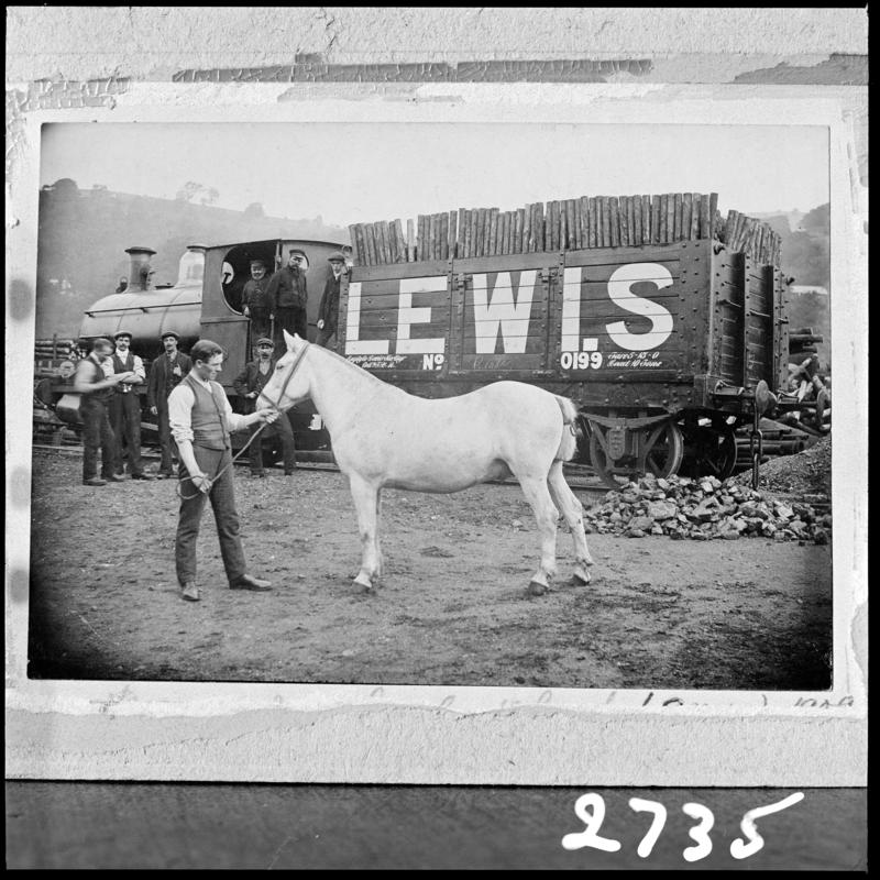Black and white film negative of a photograph showing Snowball, a show pony at Lewis Merthyr Colliery, with a Peckett locomotive, 1909.  'Lewis Merthyr Colliery' is transcribed from original negative bag.