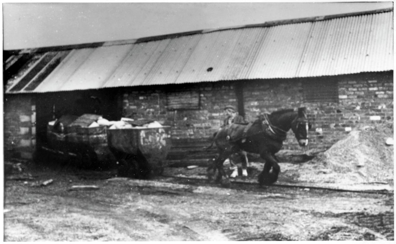 Colliery horse pulling journeys of supplies on the surface at Big Pit Colliery