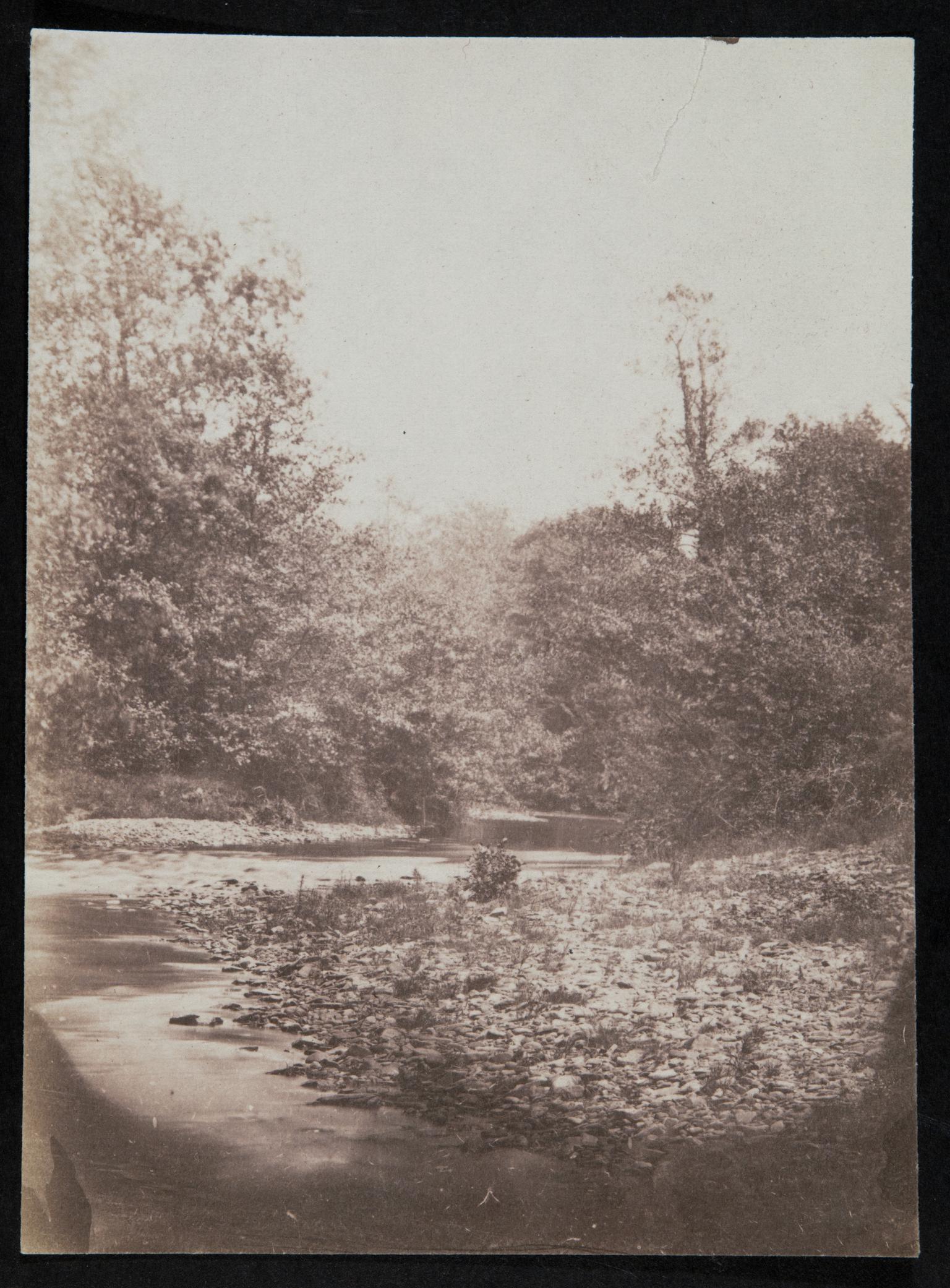 Stream running through woods, photograph