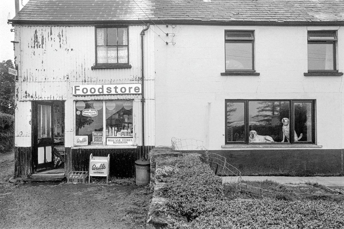GB. WALES. Rosebush. 'BellVue' store. (see3714-05, five years later, the dogs are the puppies of the previous dogs) 1989.