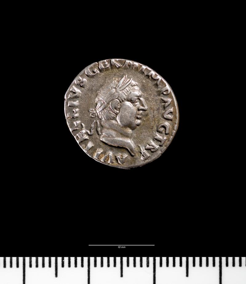 Vitellius damarius (obv.)