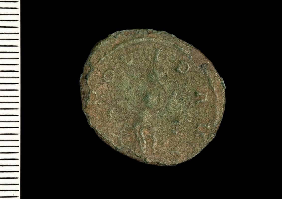 Llys Awel Roman coins