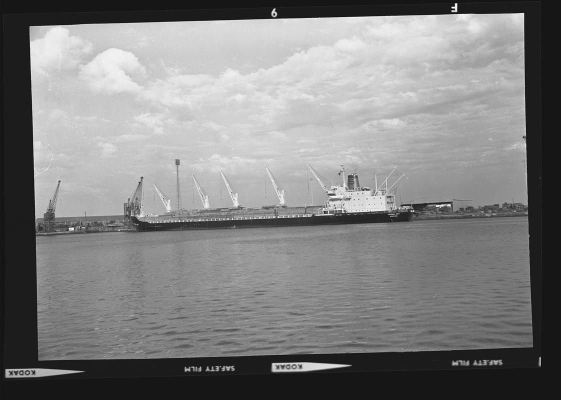 M.V. TACOMA CITY, negative