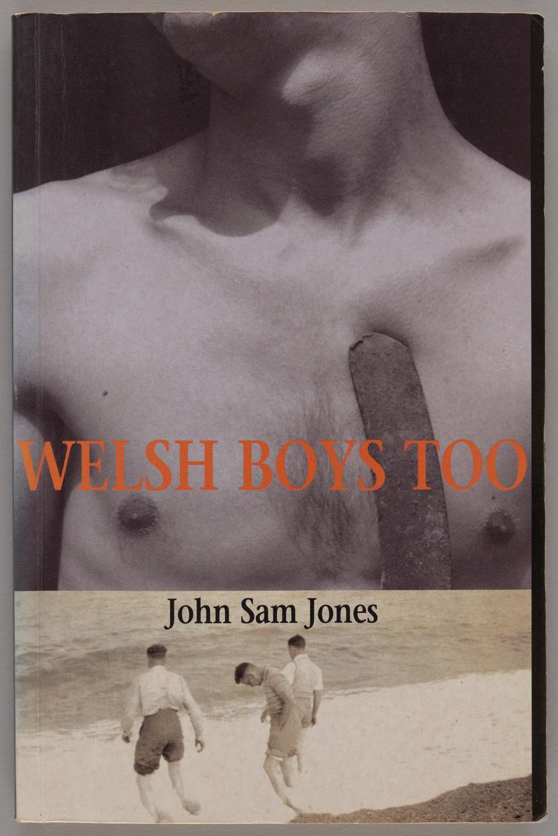 Book 'Welsh Boys Too' by John Sam Jones
