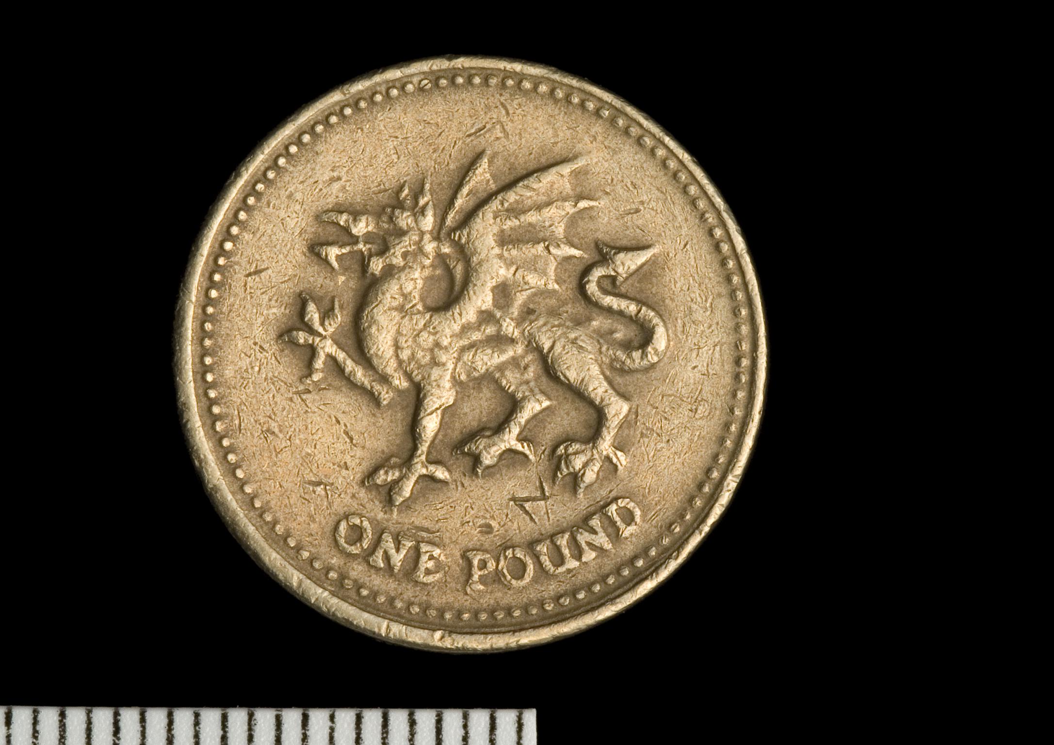 Elizabeth II pound (counterfeit)