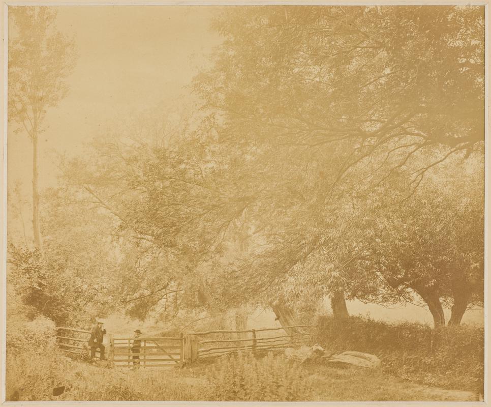 Scethrog Lane (photo)