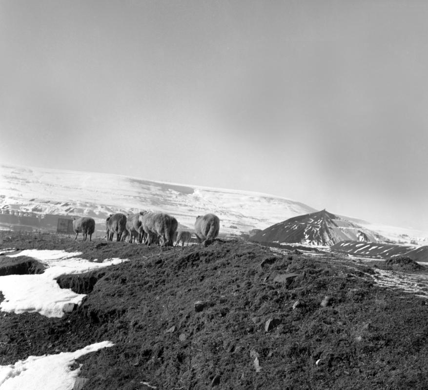 Blaenavon old side works, negative