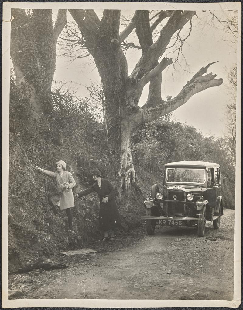 In a Gower Lane