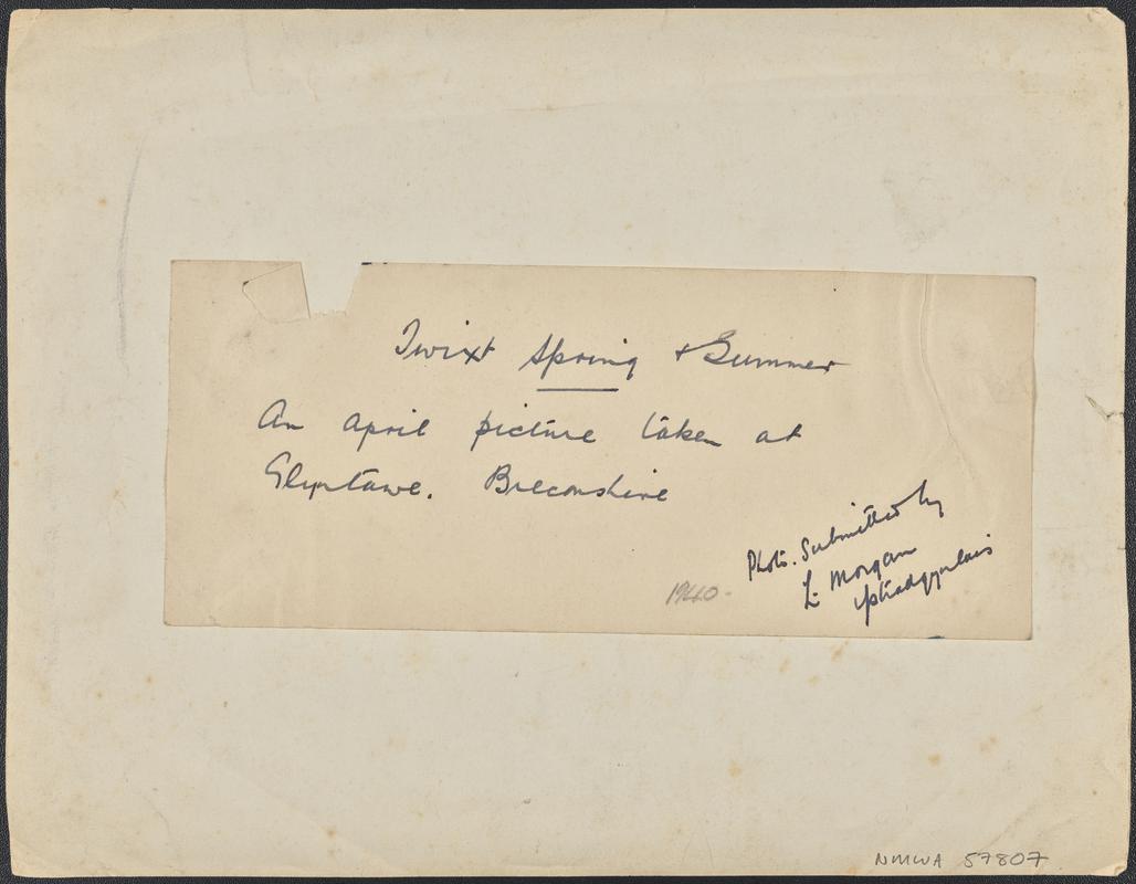 Twixt Spring + Summer