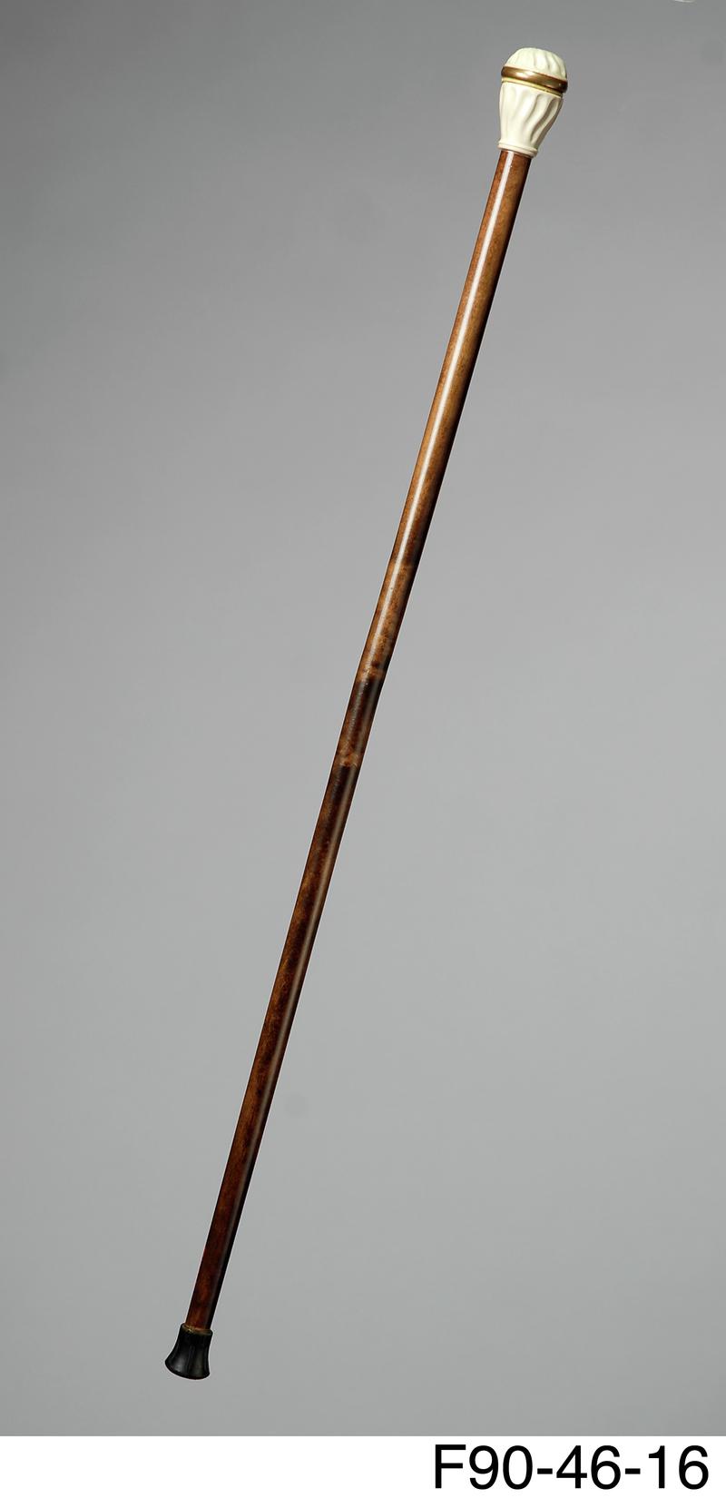 Walking stick