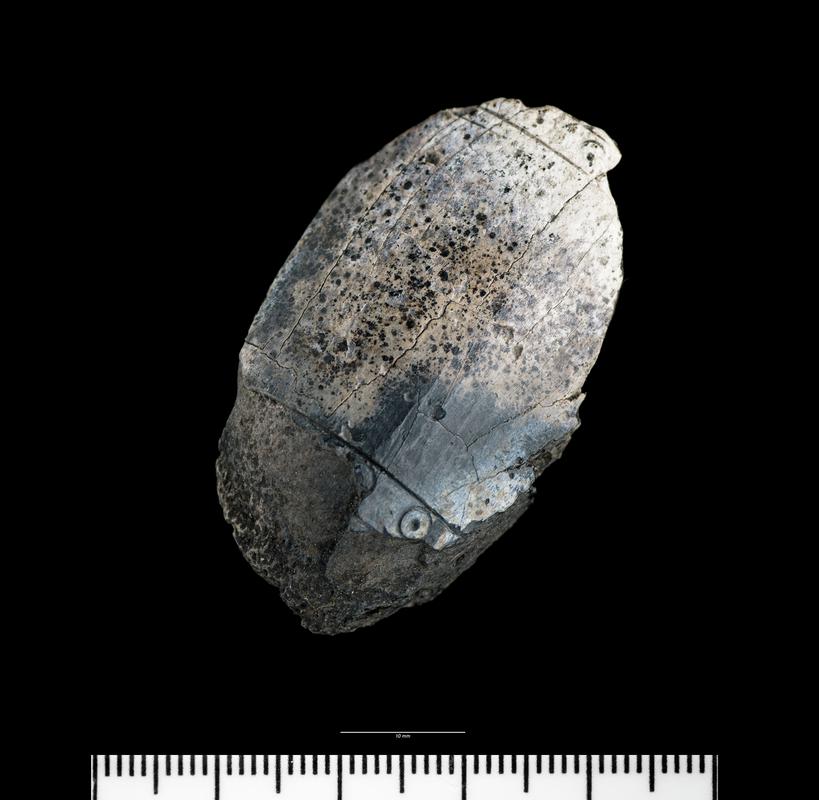 Medieval antler object