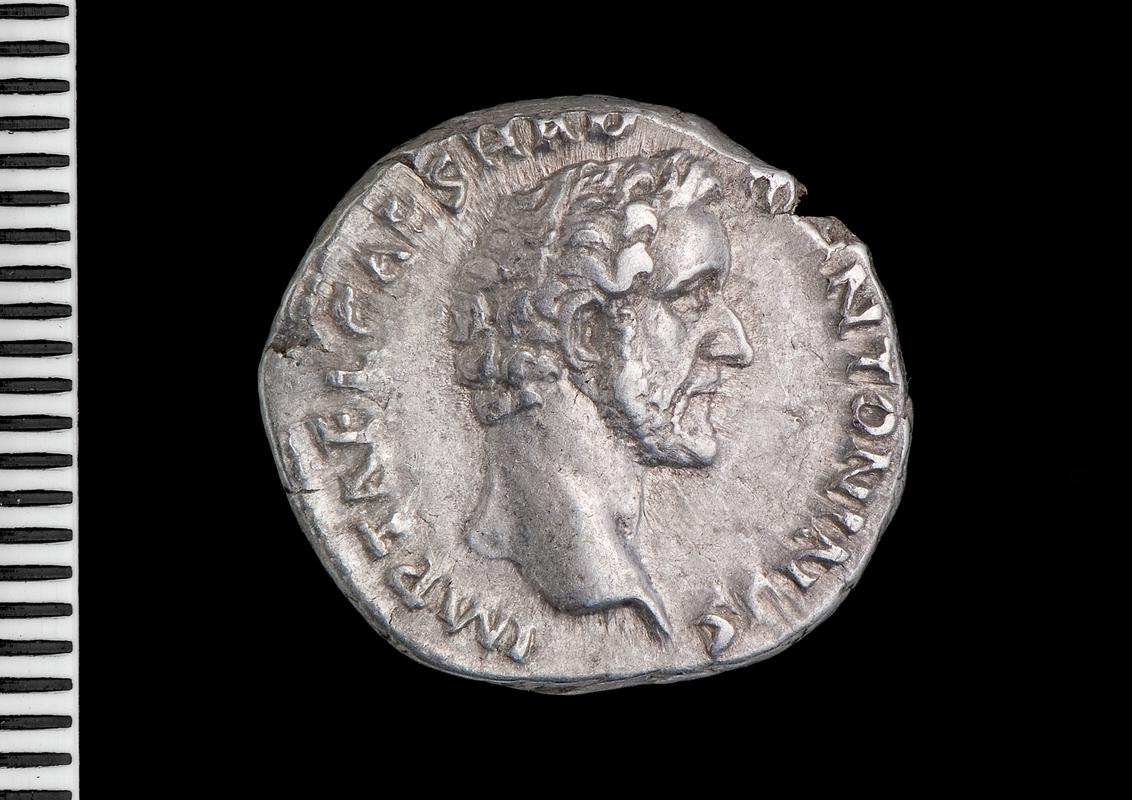 silver denarius (obv.)