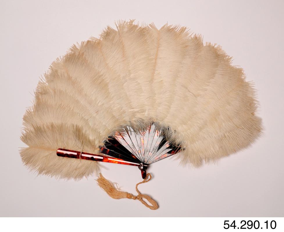 Tortoise shell & white feathered fan