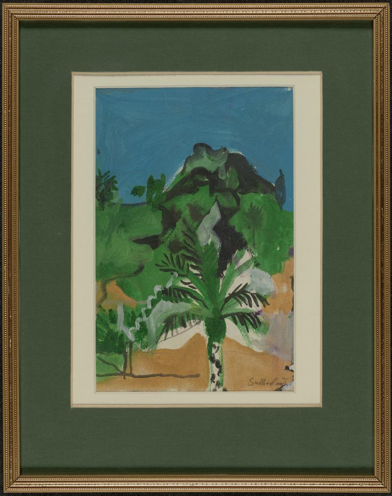 Palm in a landscape