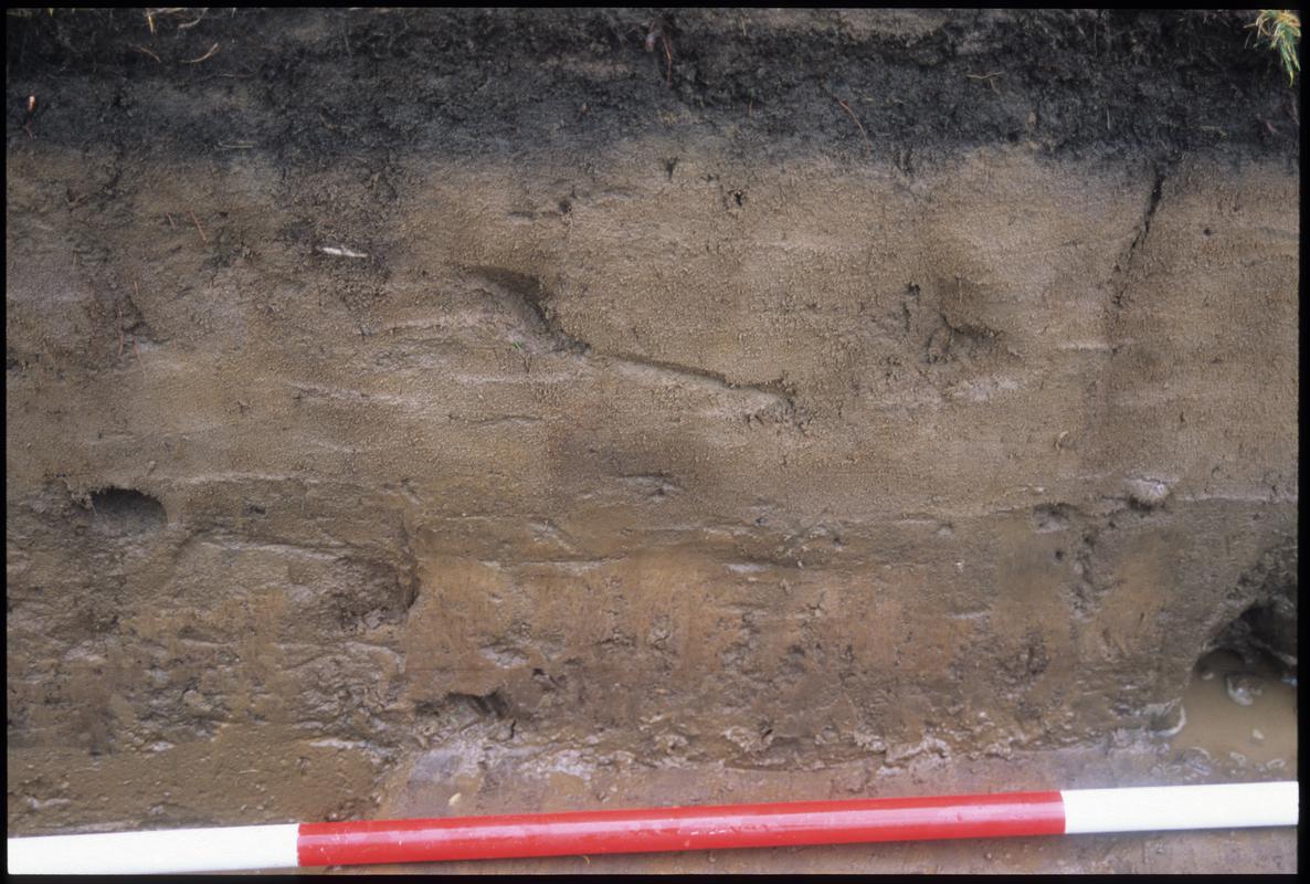 Burry Holms, Gower. 2001 Trench 4. Section at the north of the trench. Sequence shot 13.