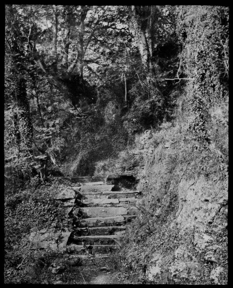 Penllergare, steps in valley, paper negative