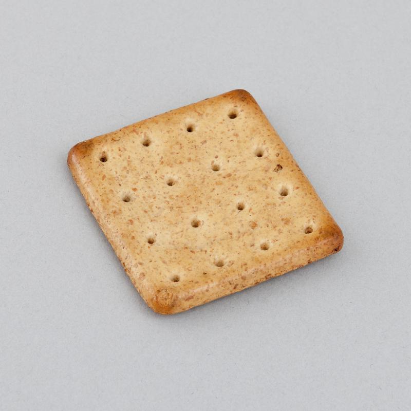 Army ration biscuit issued to troops during First World War.