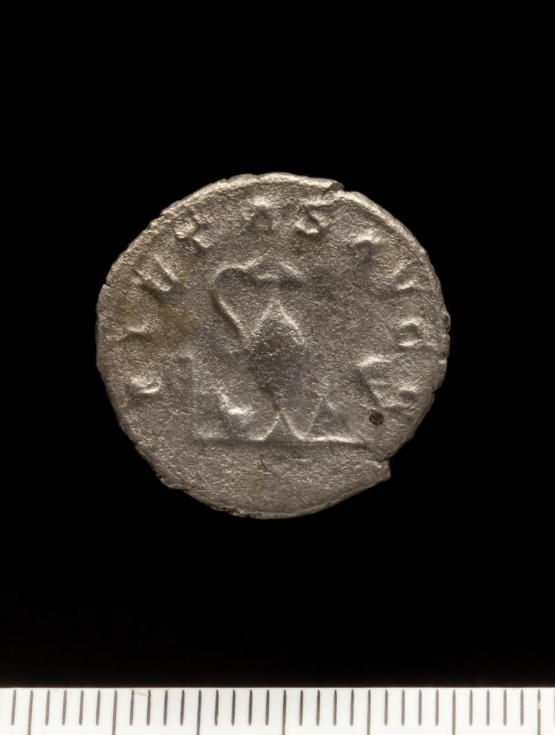 Sully Hoard I (1899)