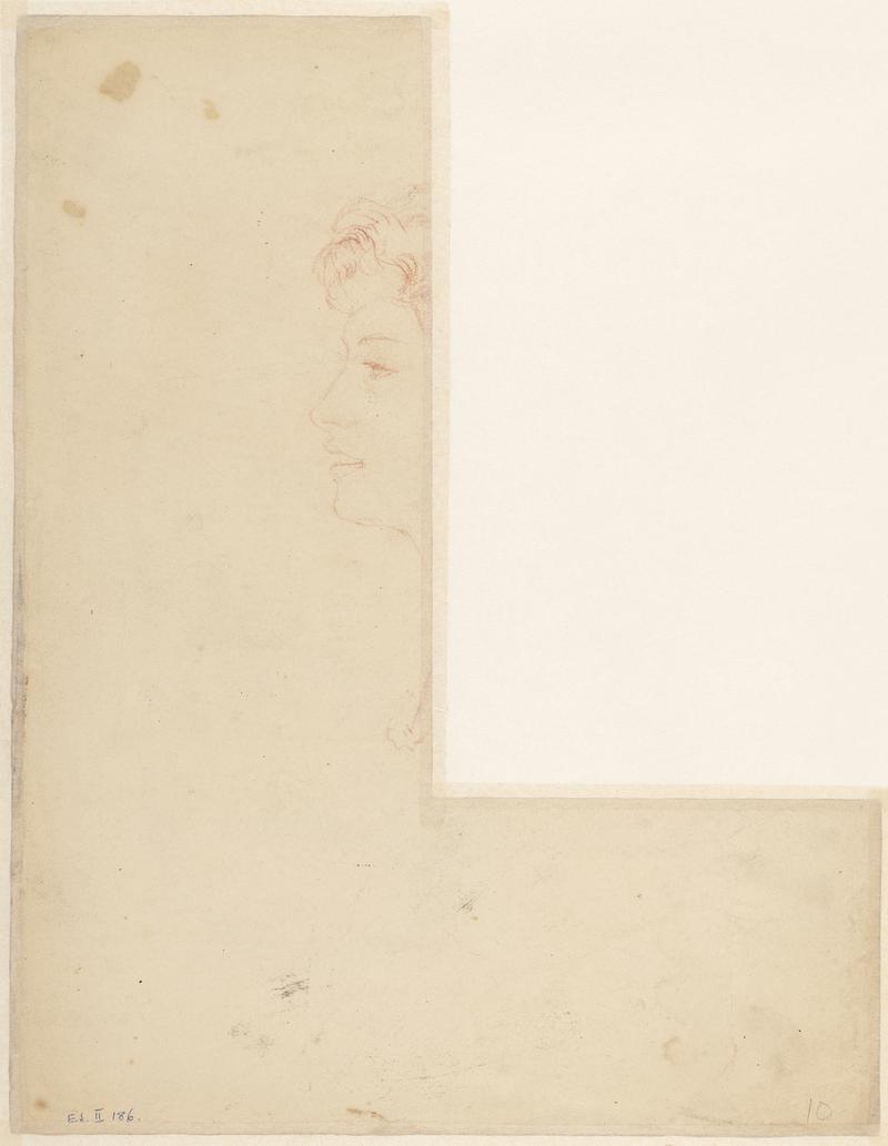 Head of Dorelia McNeil (1881-1969)