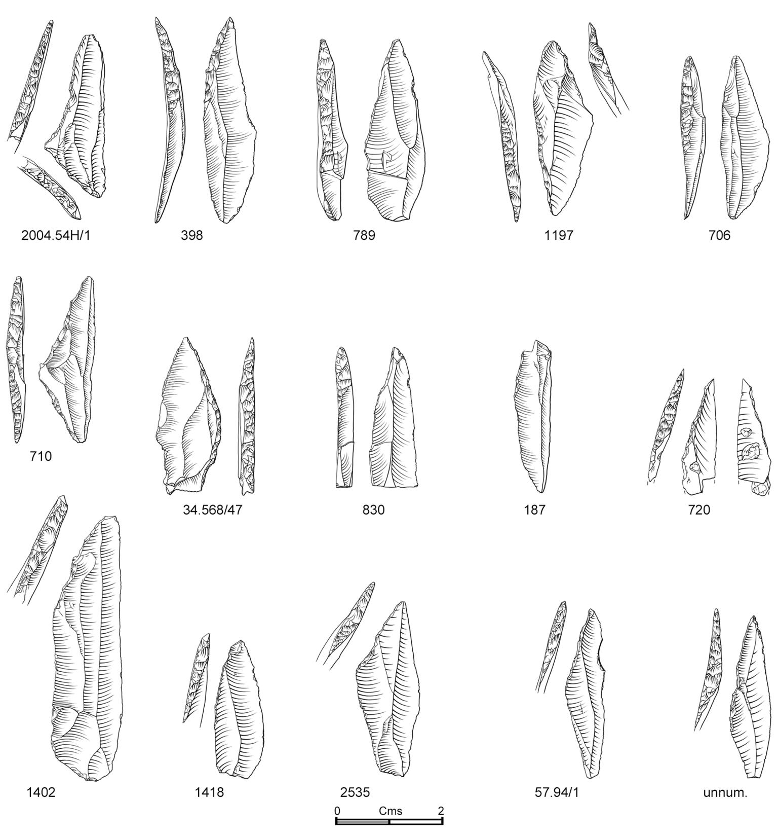 Early Mesolithic flint microlith