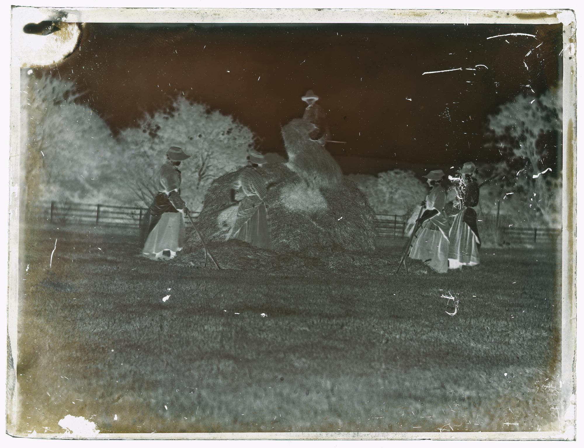 Haymakers, glass negative