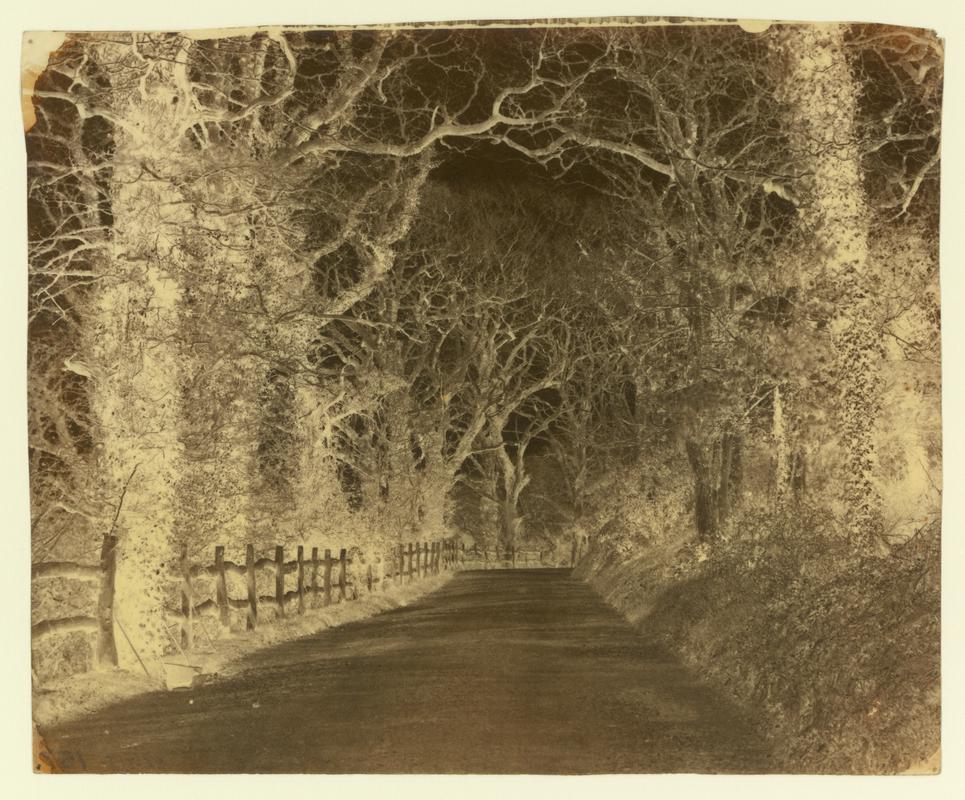 Penllergare, drive, negative