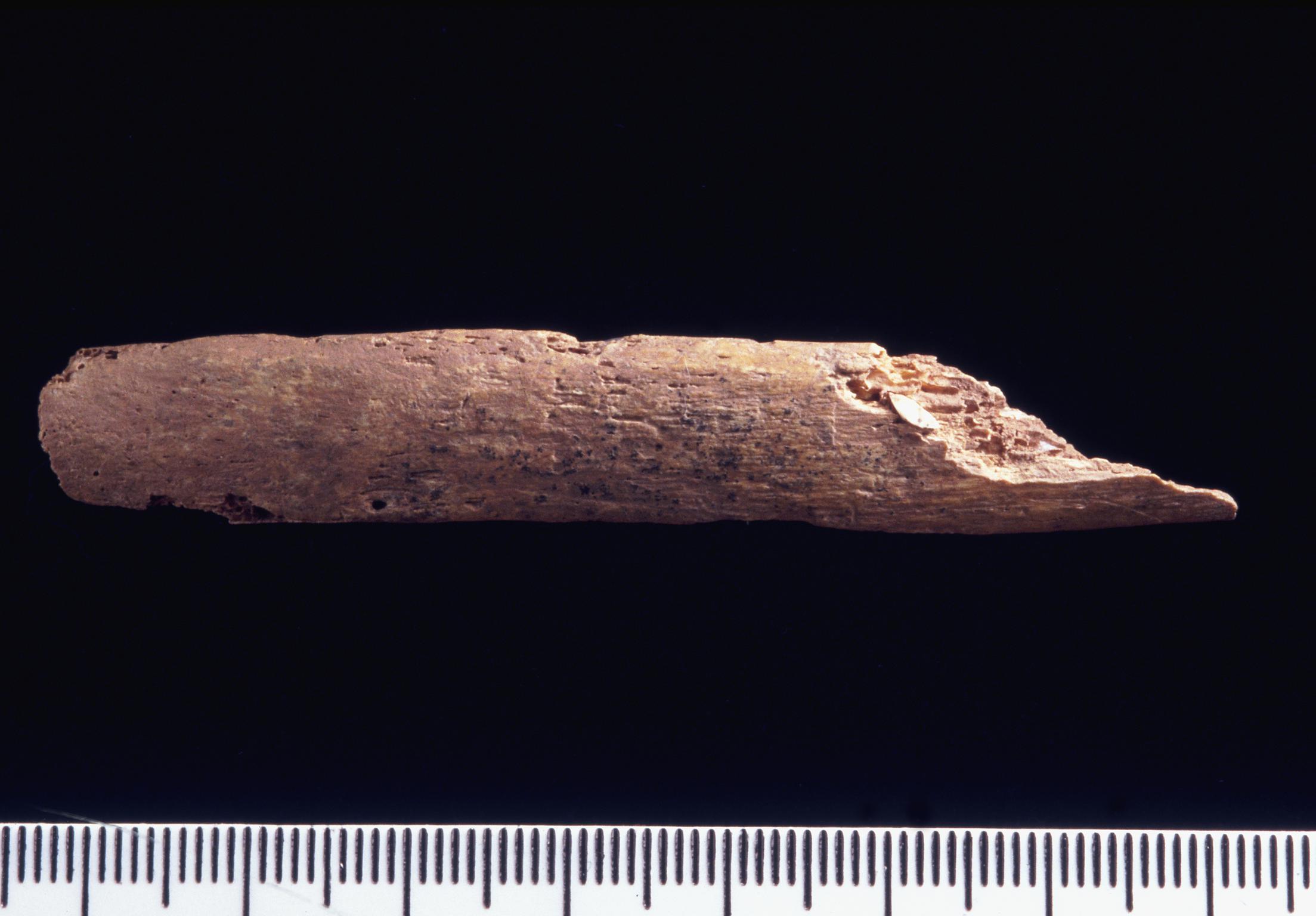Neolithic human rib with arrowhead tip