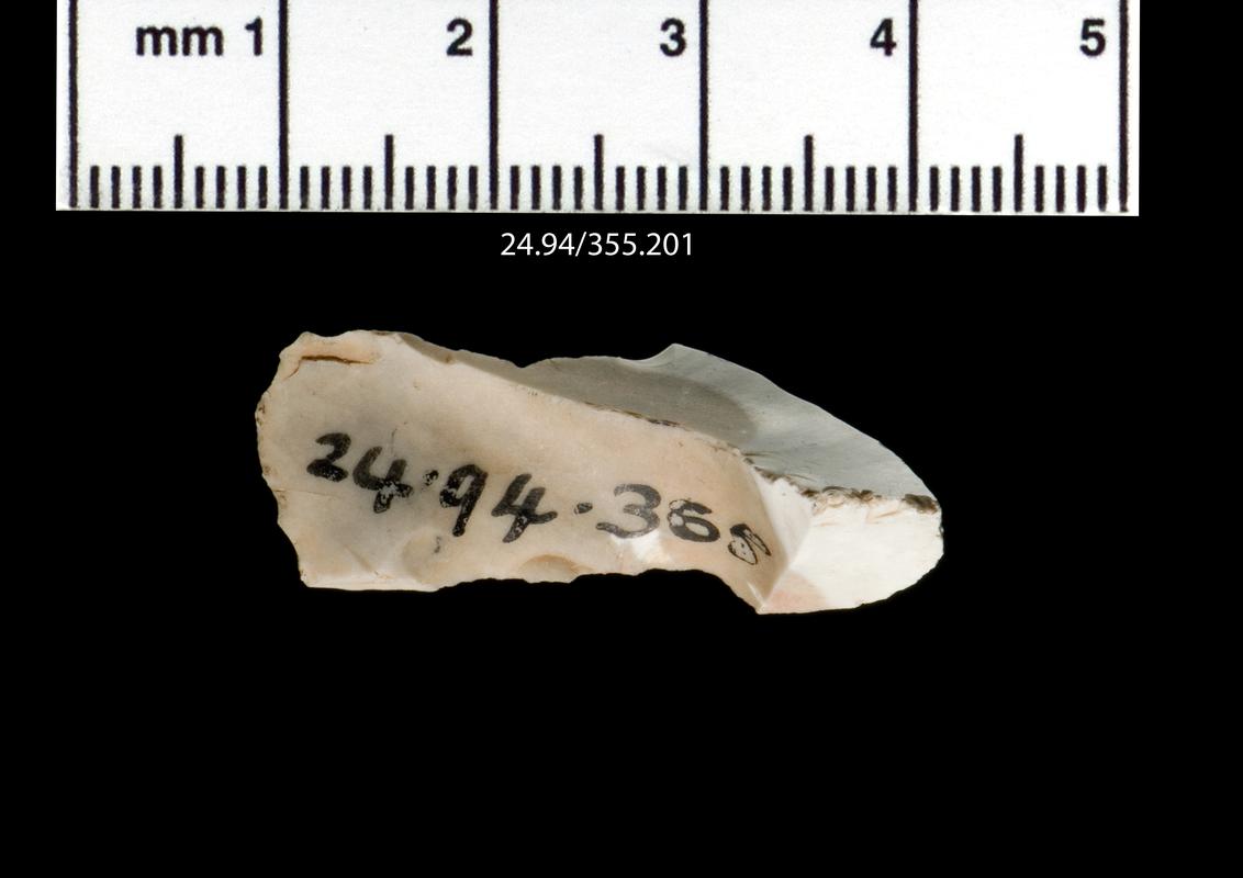 Upper Palaeolithic flint debitage