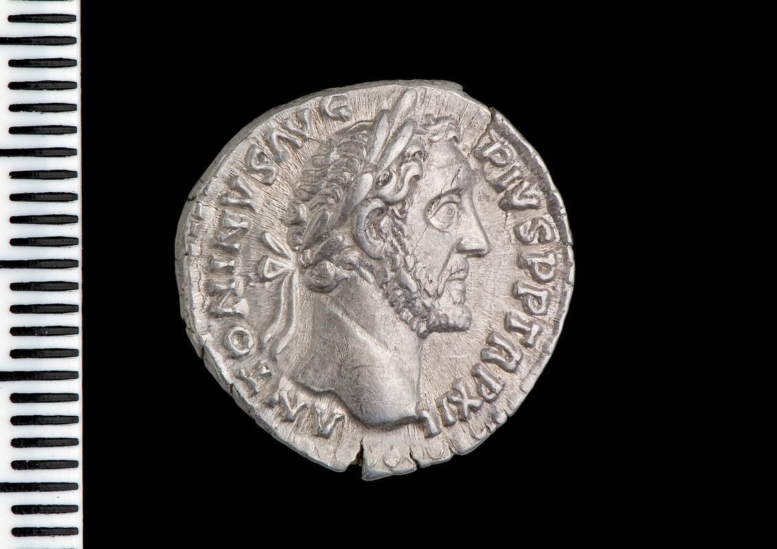 silver denarius (obv.)