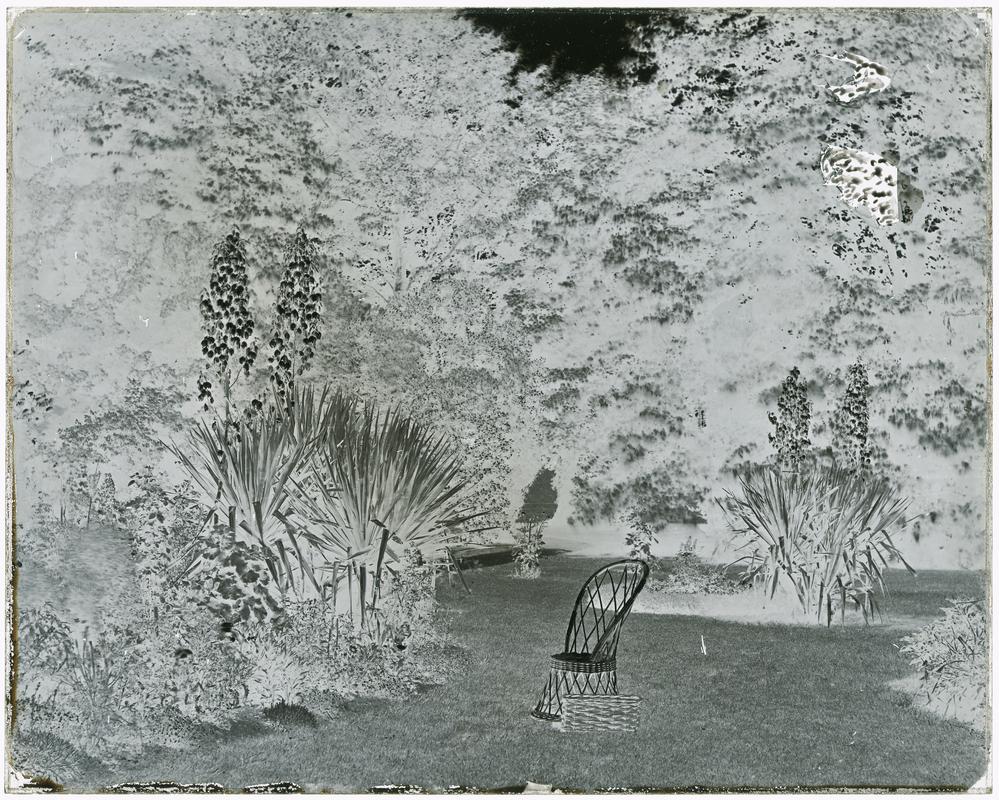 Sketty Hall, glass negative