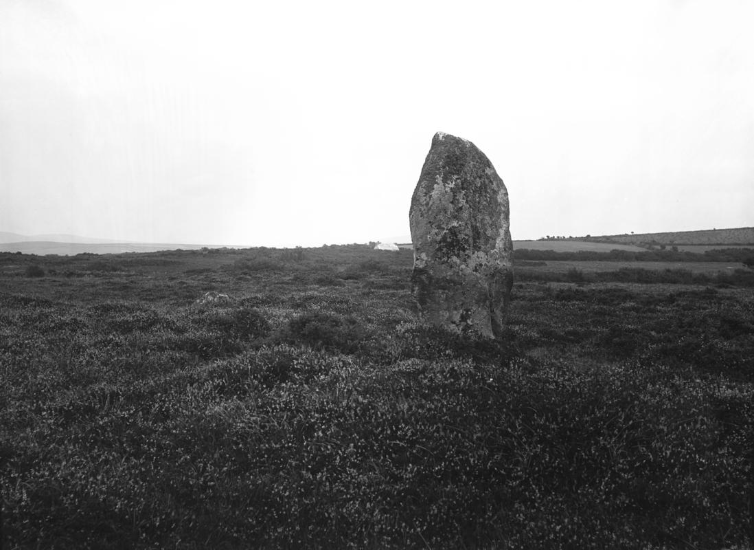 Photographic Negative