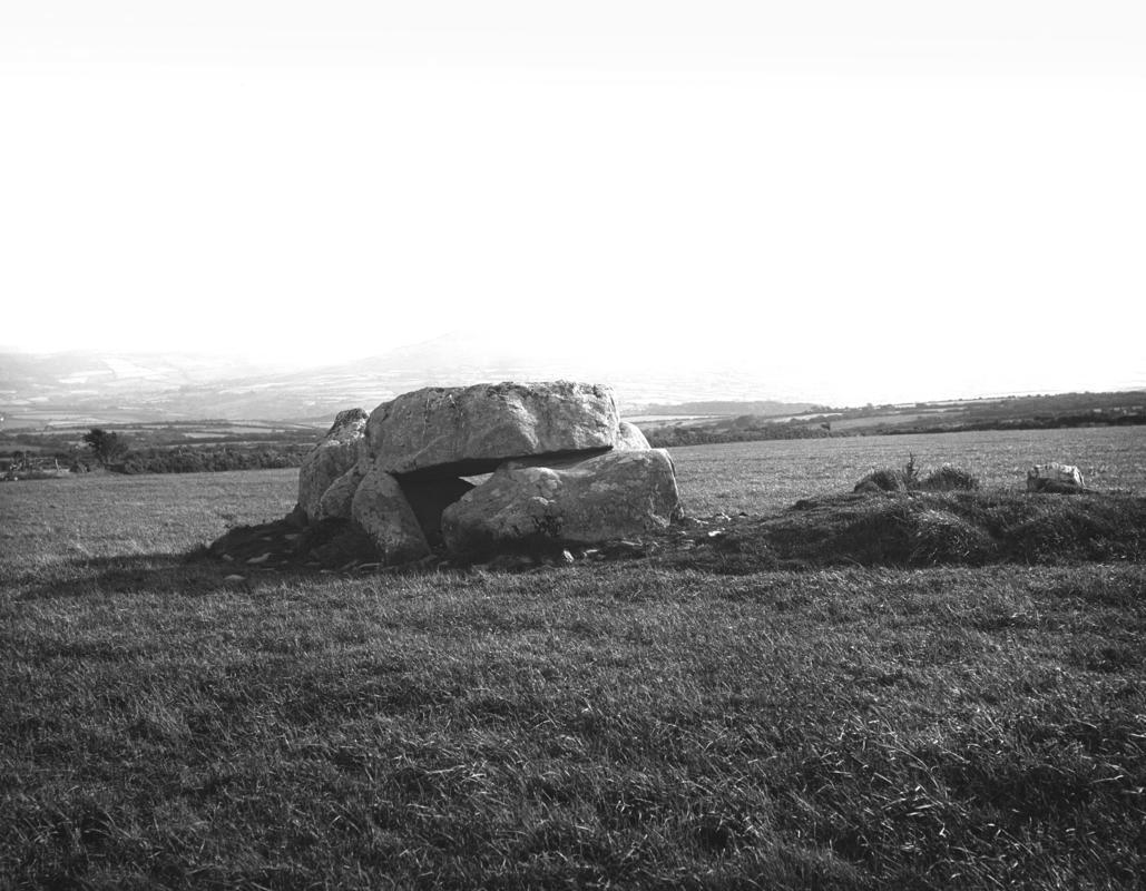 Photographic Negative