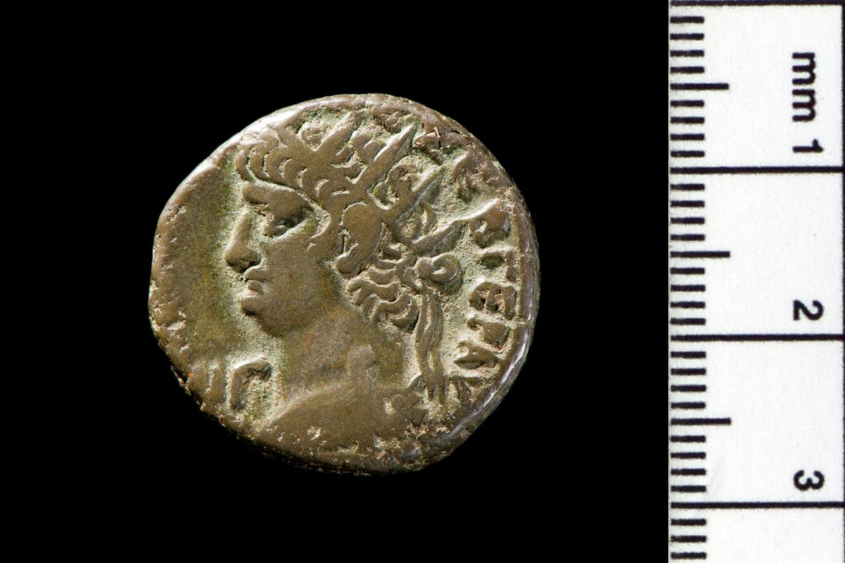 Nero Tetradrachm, Alexandria (obv)