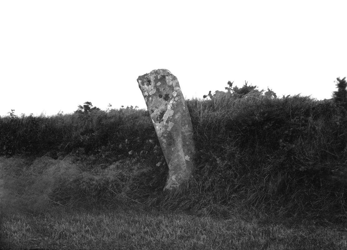 Photographic Negative